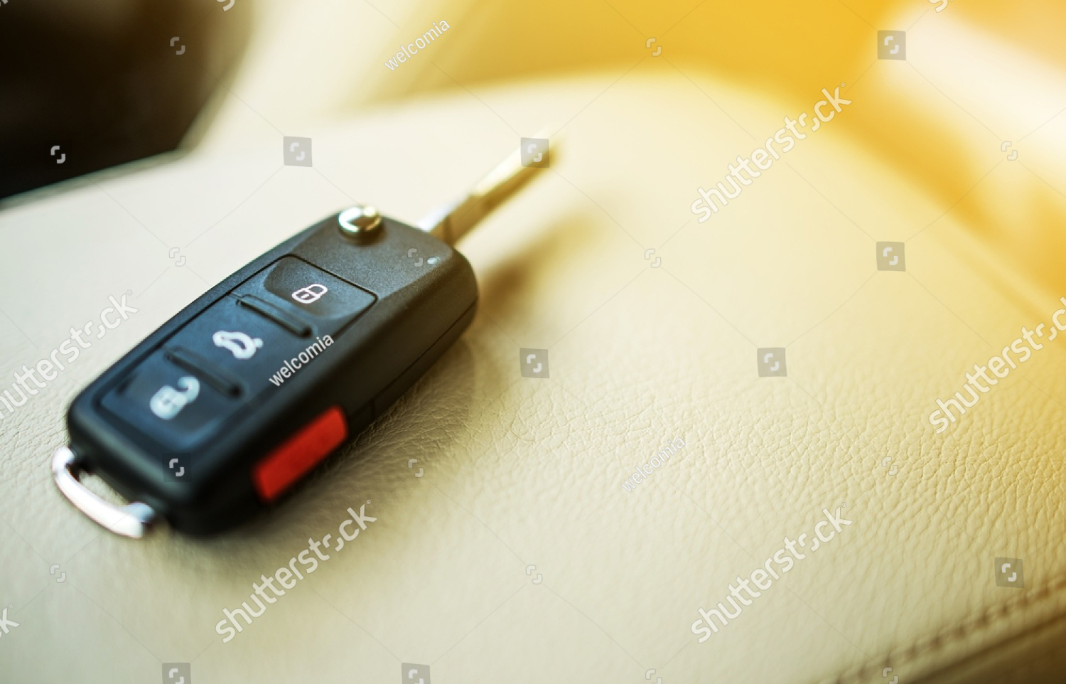 Auto Loans