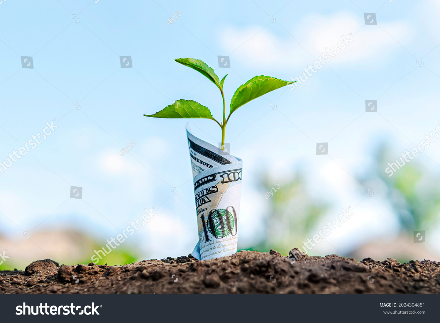 Savings Accounts